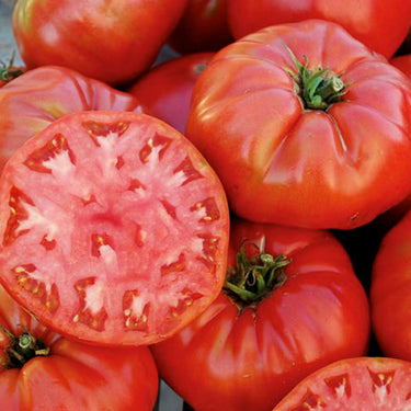 Mortgage Lifter Tomato Seeds - The Pepper Pantry (Formerly Marie Sharp's)